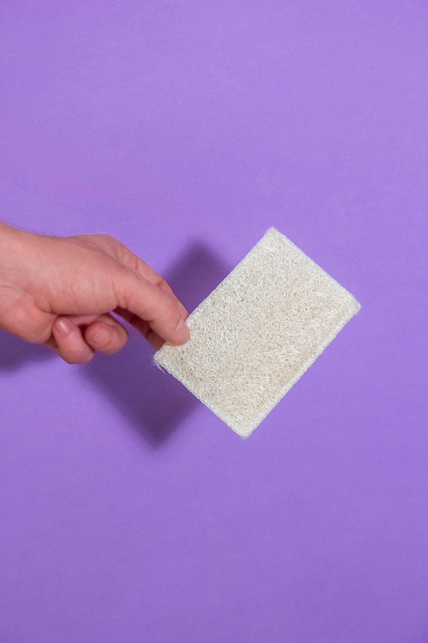 HOGAR - La Tortuga y La Liebre