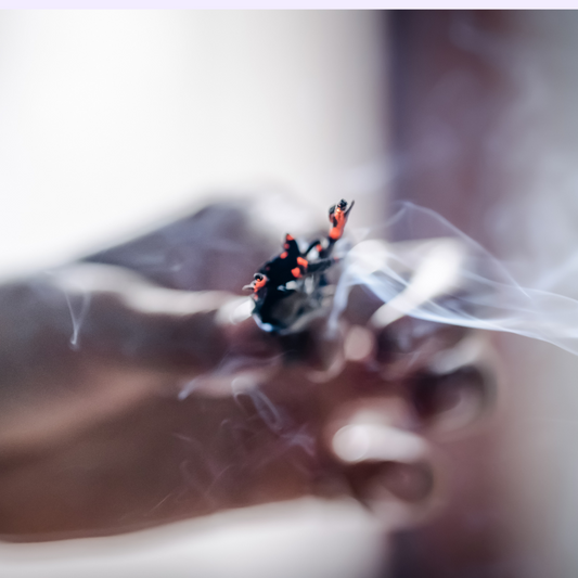 Sahumerio de lavanda