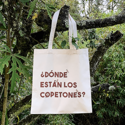Tote Bag - Copetones Entramado, Hogar, Entramado, La Tortuga y La Liebre