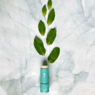 Bálsamo Labial Menta - Hooli, Salud + Cuidado Personal, Hooli, La Tortuga y La Liebre