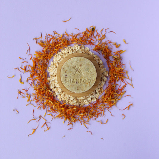 Shampoo Sólido Natural - Brookezia, Salud + Cuidado Personal, Brookezia, La Tortuga y La Liebre