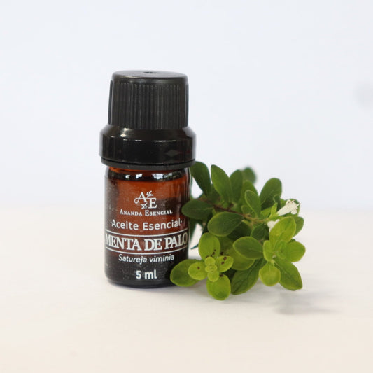 aceite esencial de menta de palo ananda con plantas