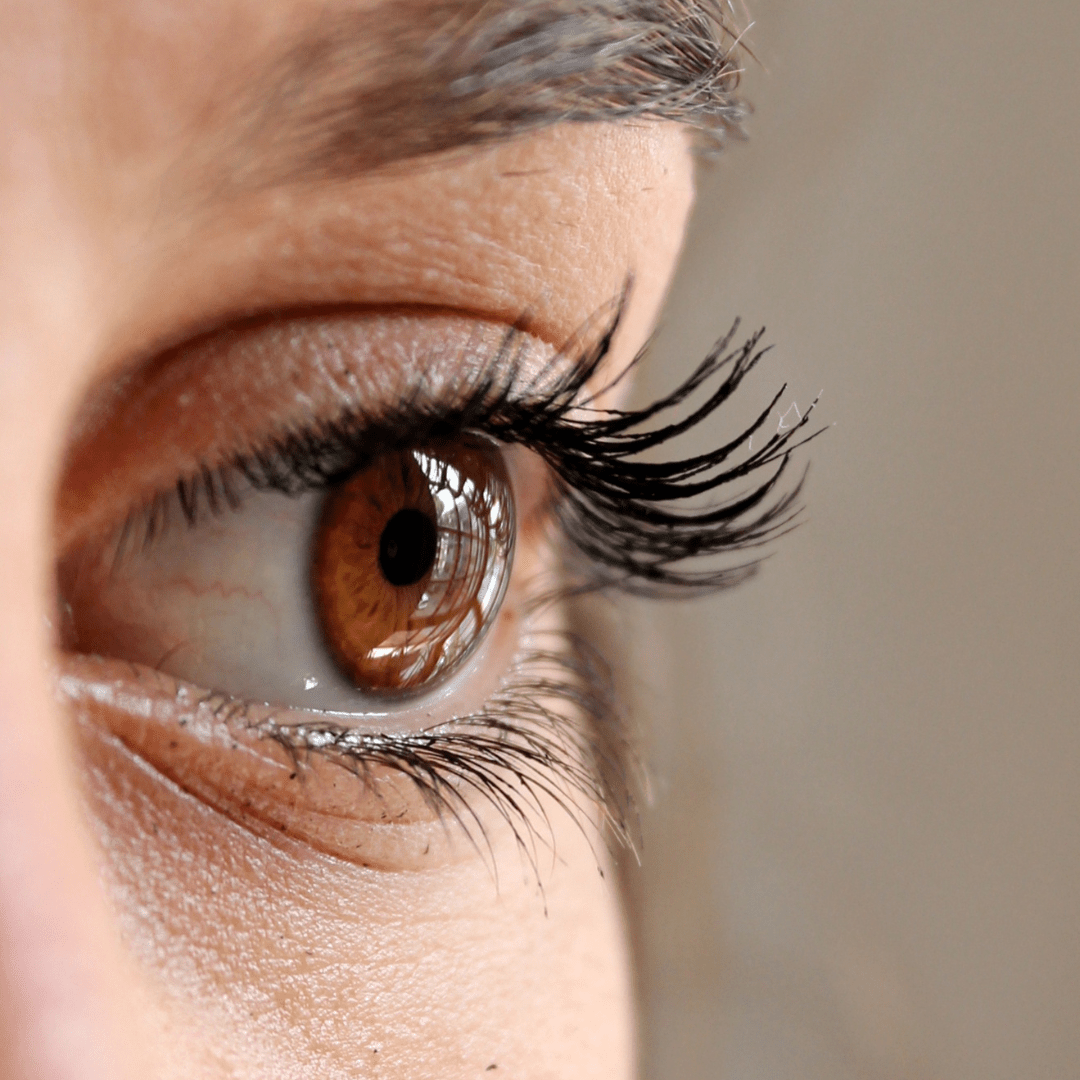 Aceite para Pestañas y Cejas - Natiú, Salud + Cuidado Personal, Natiú, La Tortuga y La Liebre