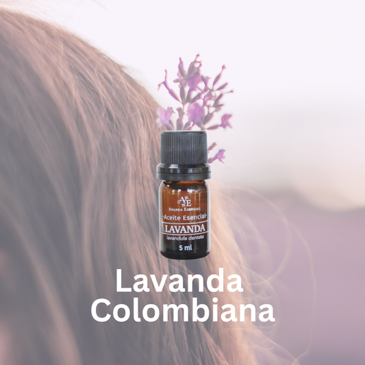 el aceite esencial de lavanda con flores de lavanda.
