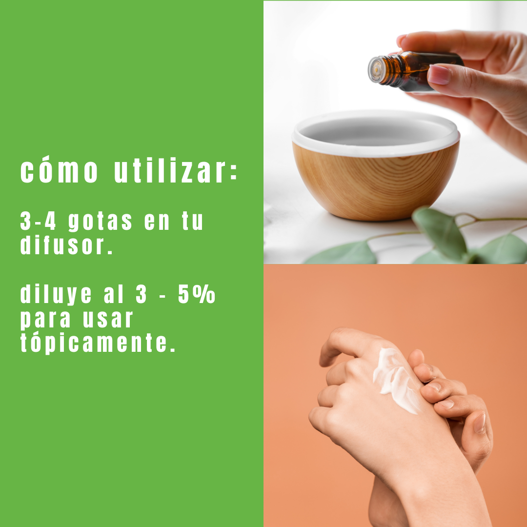 Aceite esencial de alcanfor - Simple As