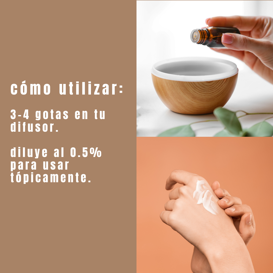 Aceite esencial de clavo de olor - Simple As