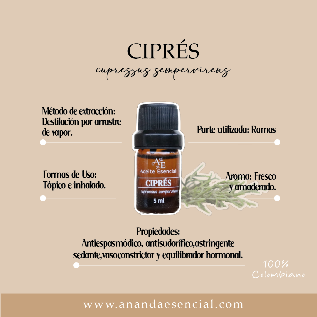Aceite esencial ciprés - Ananda