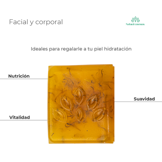 Jabón Artesanal Facial y Corporal - Econativa