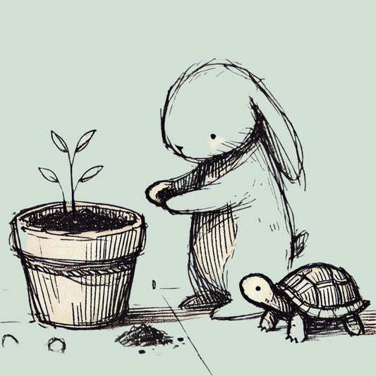 Kit Huerta en Casa, Kits + Gifts, La Tortuga y La Liebre, La Tortuga y La Liebre