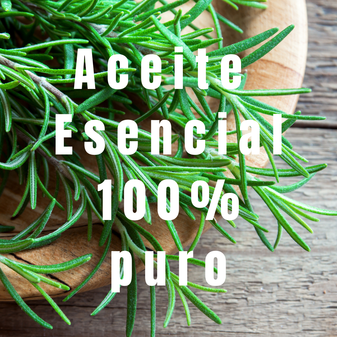 Aceite de Romero - Simple As, Hogar, Simple As, La Tortuga y La Liebre