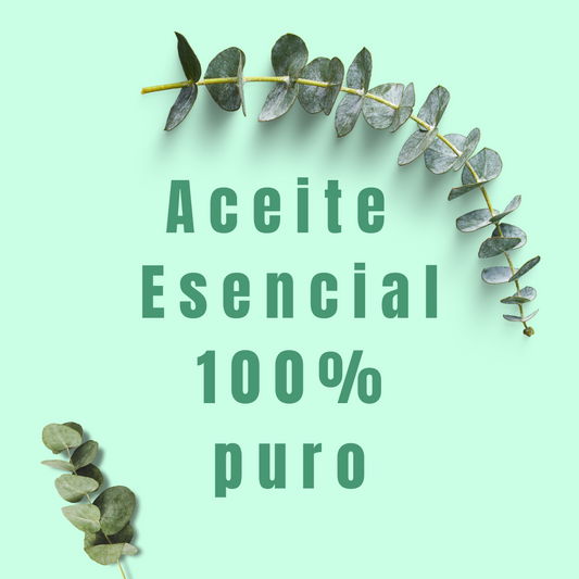 palos de eucalipto con el texto 100% puro