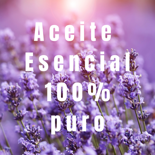 plantas de lavanda con el texto 100% puro.