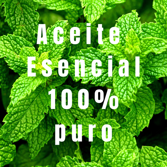 plantas de menta con el texto "100% puro"
