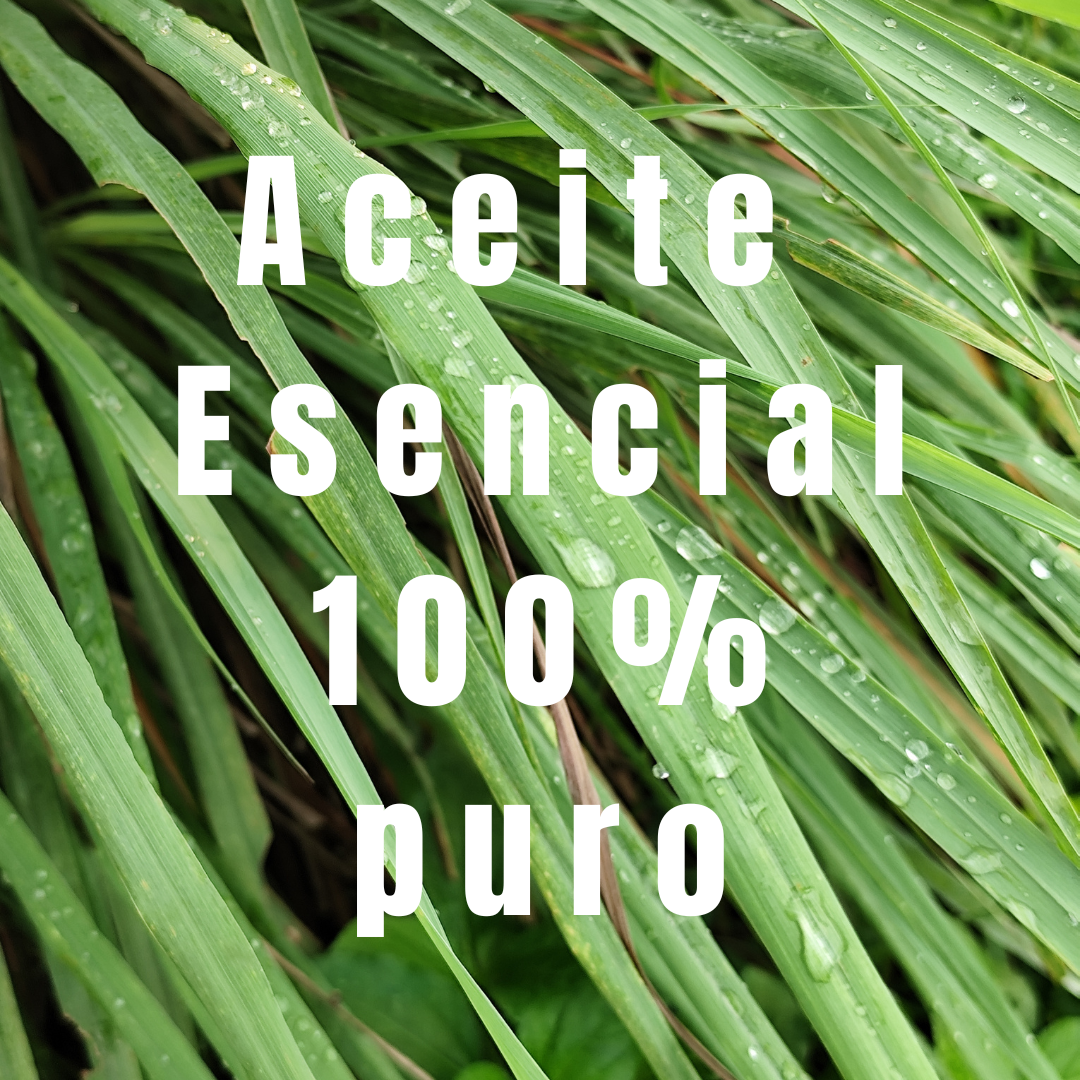 Aceite esencial de limoncillo - Simple As