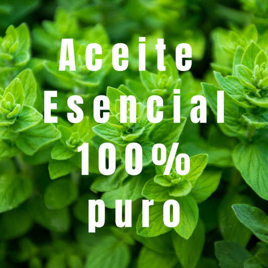 plantas de oregano con las palabras 100% puro y natural.