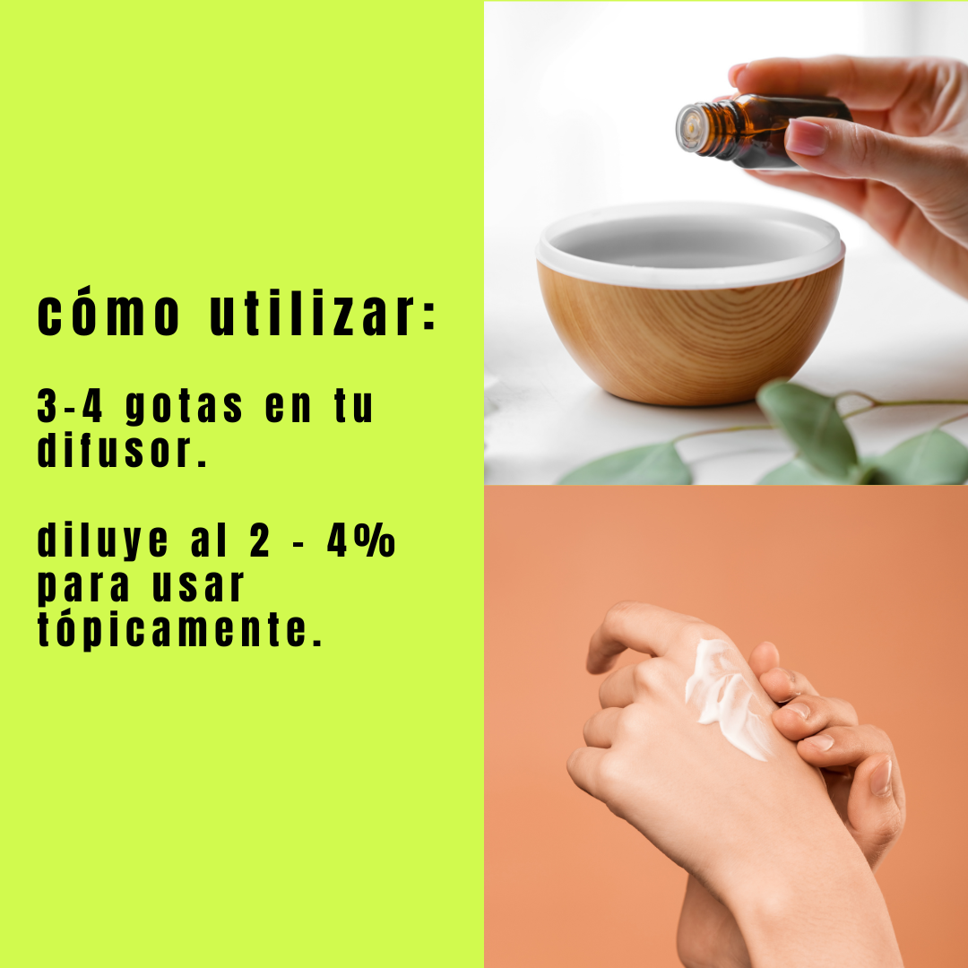 Aceite de Romero - Simple As, Hogar, Simple As, La Tortuga y La Liebre