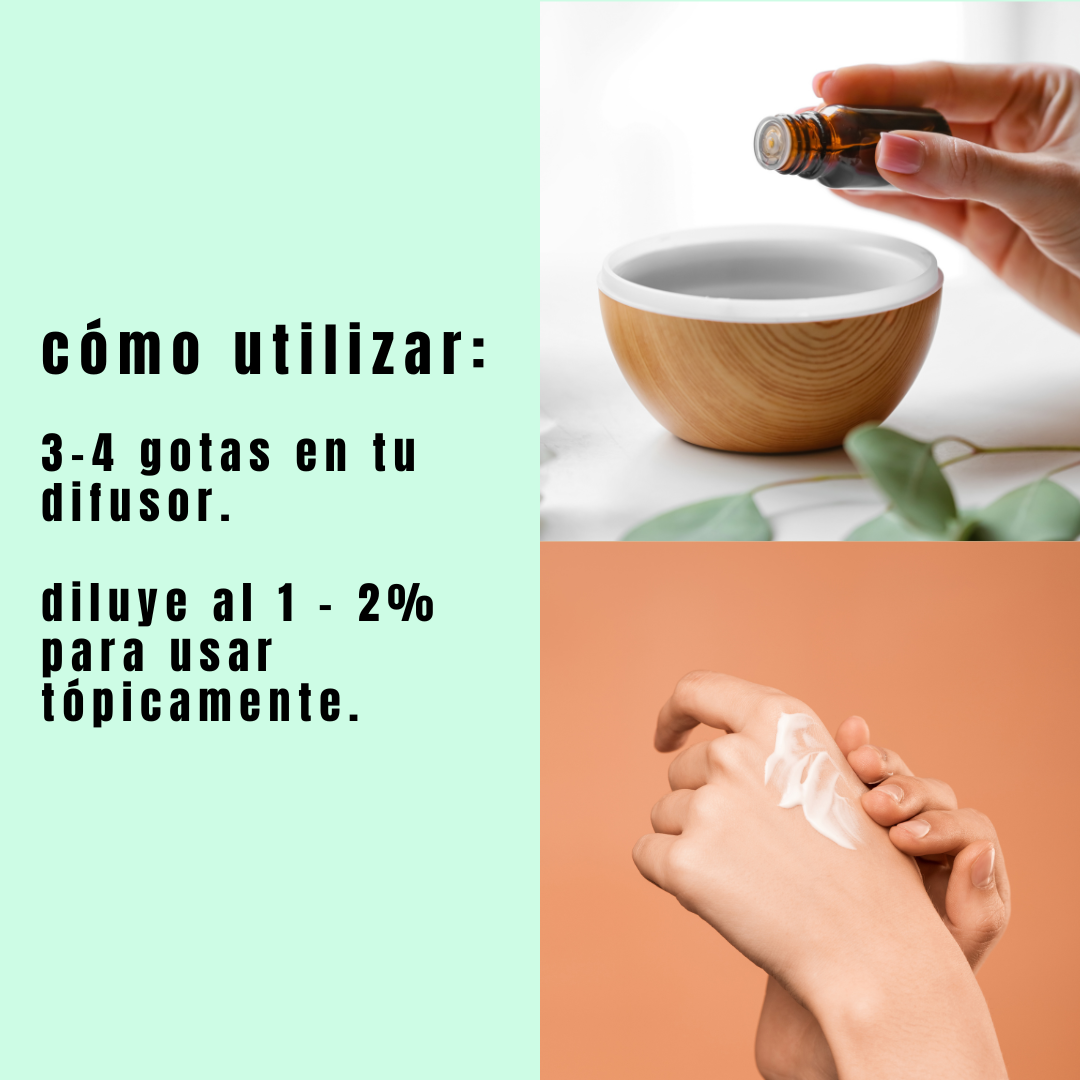 como usar el aceite esencial de oregano.