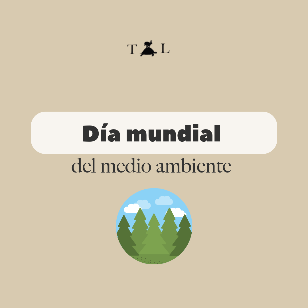 Día del Medio Ambiente