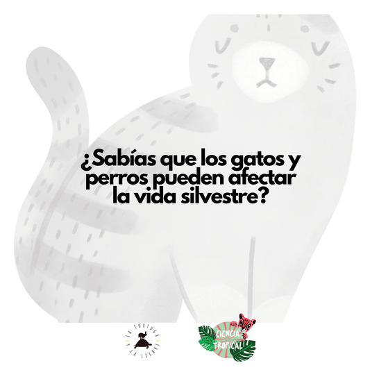 ¿Gatos y perros salvajes? por Ciencia Tropical