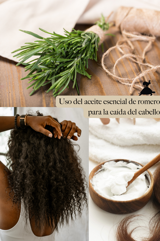Uso del aceite esencial de romero para la caída del cabello