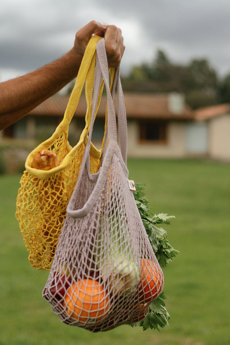 ALIMENTOS Y DESPENSA