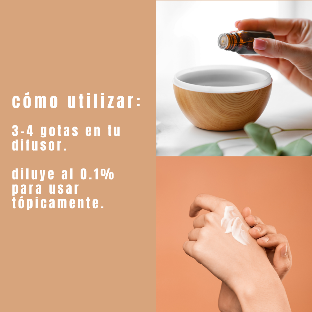 Aceite esencial de canela - Simple As