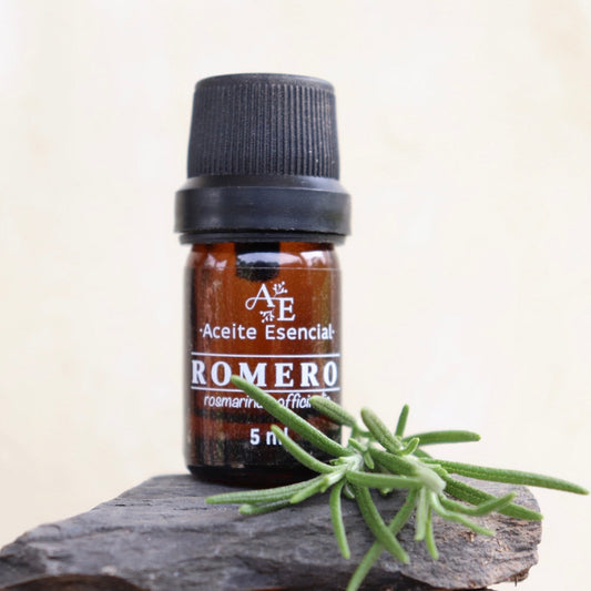 Aceite esencial de romero Ananda con la planta de romero 