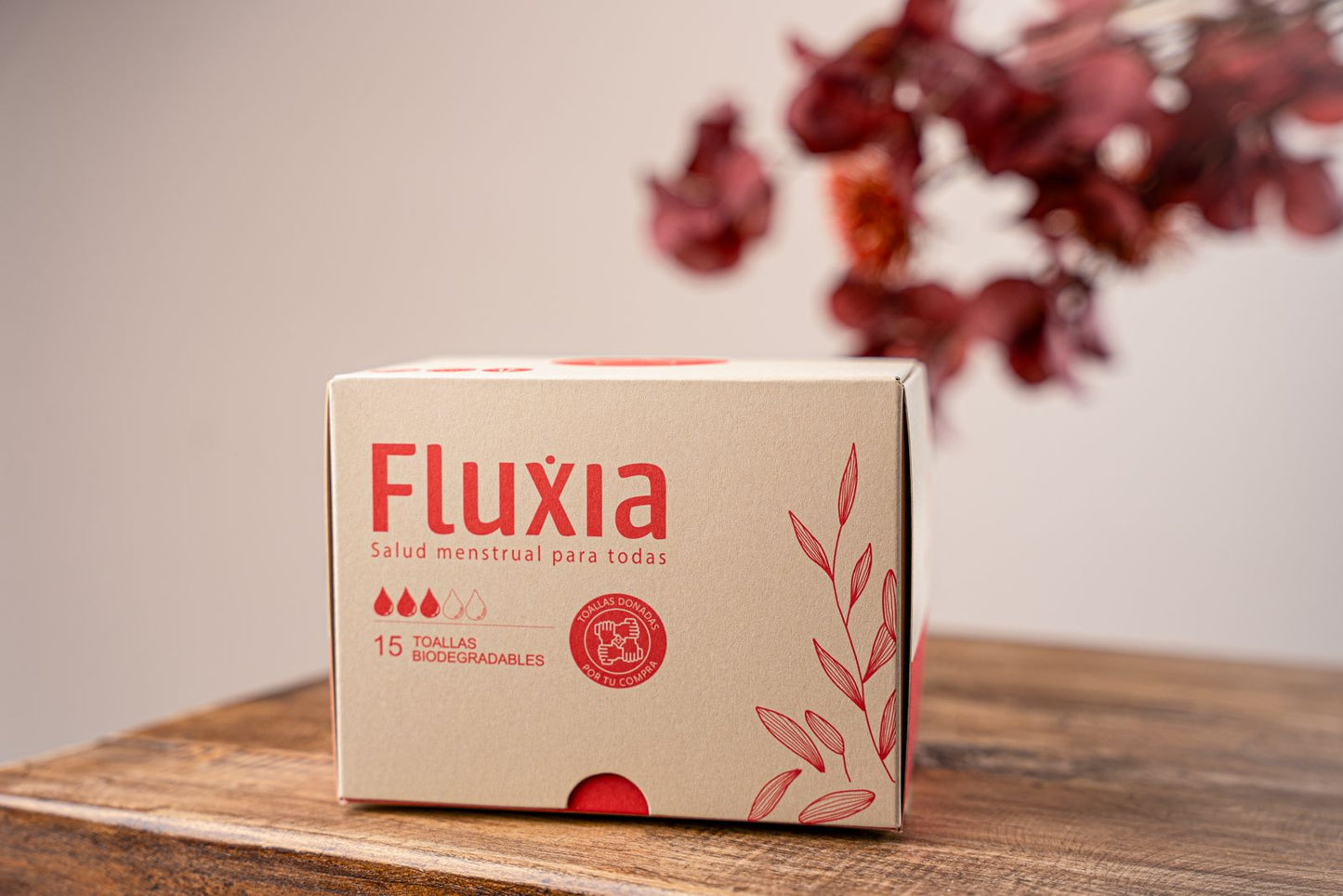 Kit 10 Toallas Higiénicas Biodegradables - Fluxia