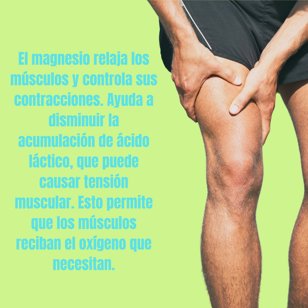 infografico de beneficios del aceite de magnesio para los musculos. 