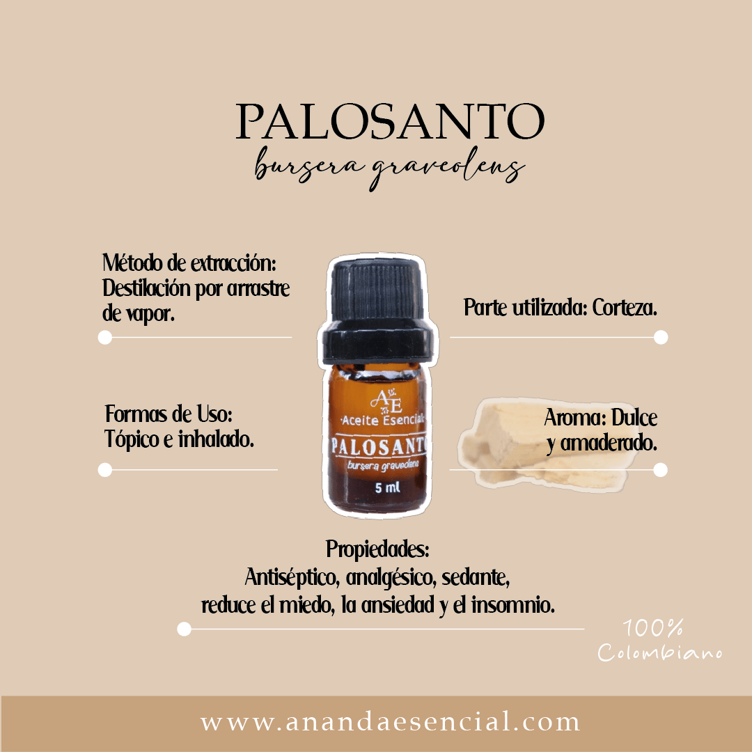 aceite de palo santo para que sirve 9 infografias palo santo 674635