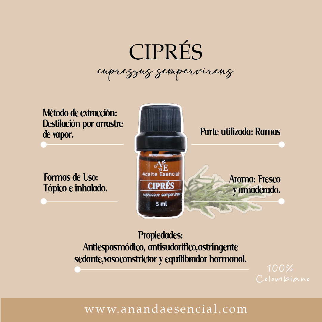 info de las beneficios de aceite de ciprés. 