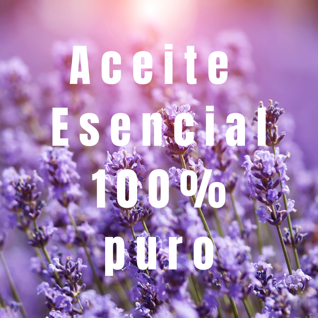 plantas de lavanda con el texto 100% puro.