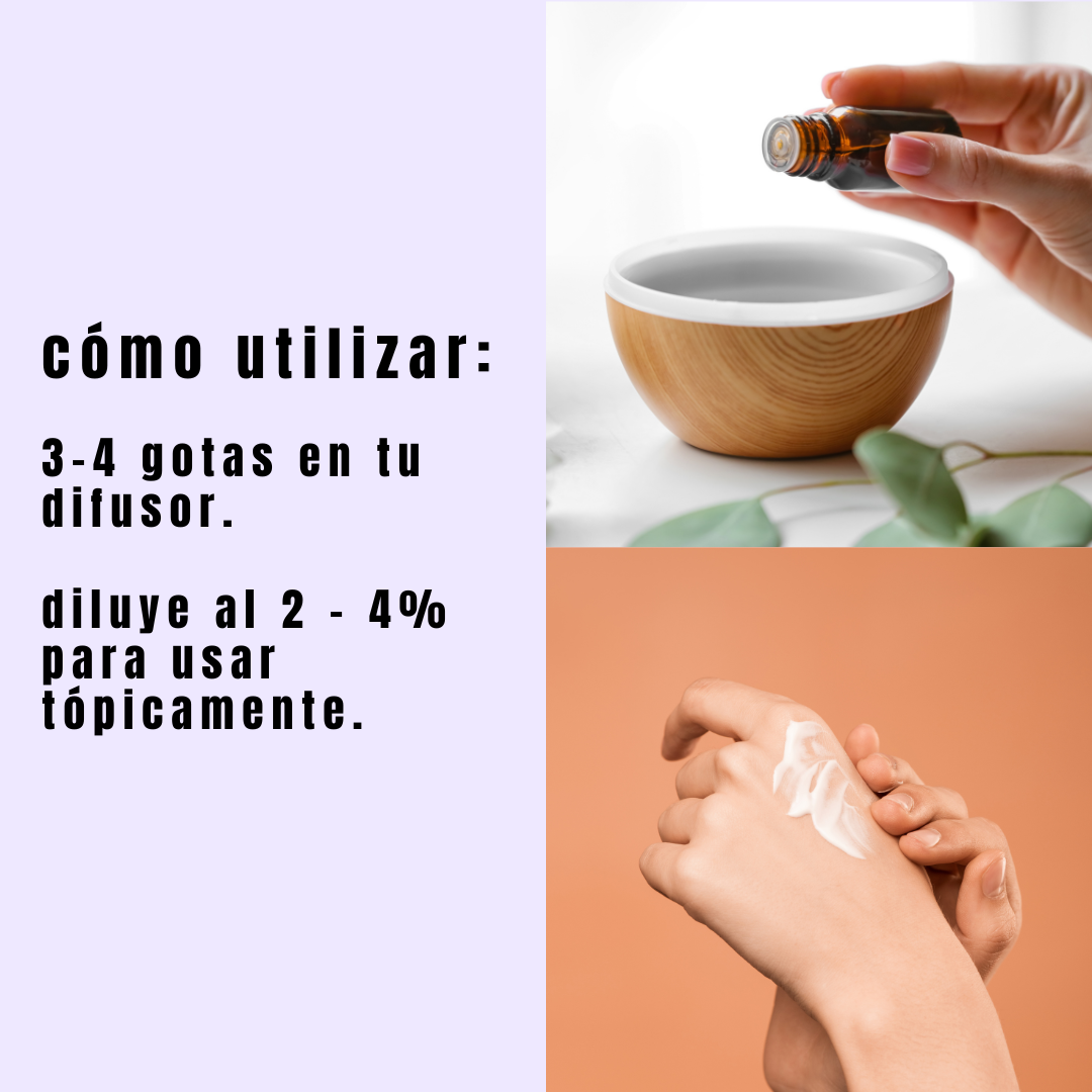 infografico de usos de aceite esencial de lavanda. 