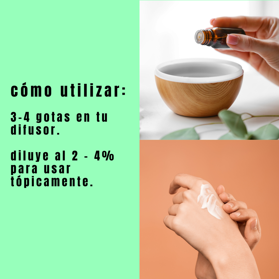 Aceite de Menta - Simple As, Hogar, Simple As, La Tortuga y La Liebre