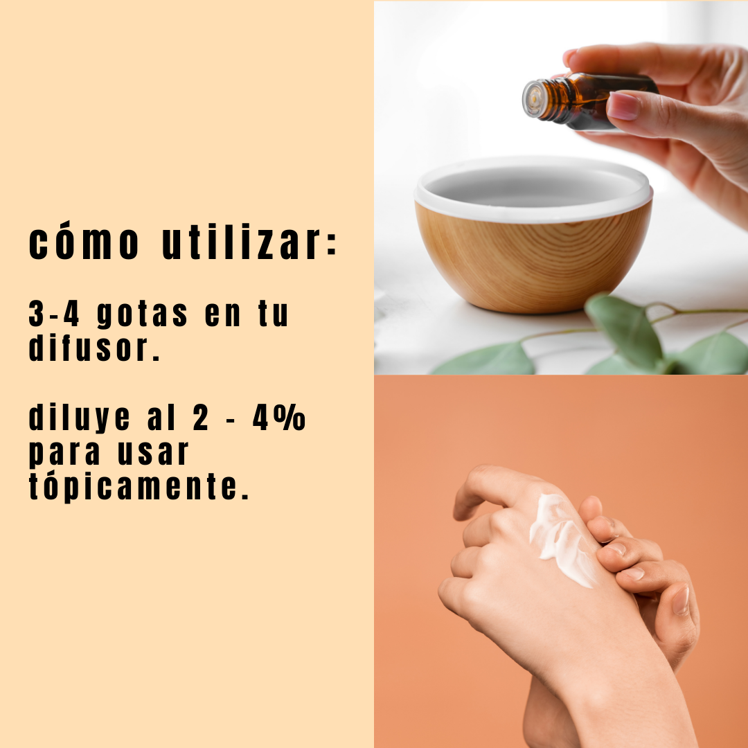guia como usar el aceite esencial de naranja. 