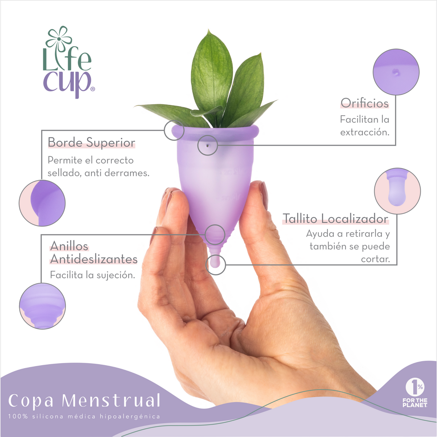 Copa menstrual LifeCup - La Tortuga y La Liebre